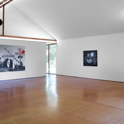 https://pazdabutler.com/upload/exhibitions/_-title/Vernon_Fisher_HBG_9.jpeg