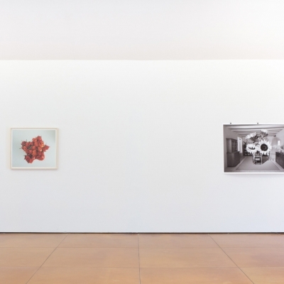 https://pazdabutler.com/upload/exhibitions/_-title/bower_2.jpg
