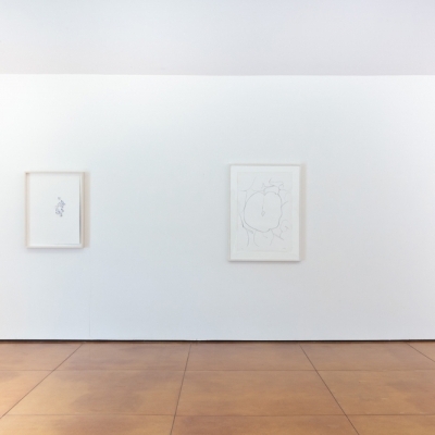 https://pazdabutler.com/upload/exhibitions/_-title/bower_3.jpg